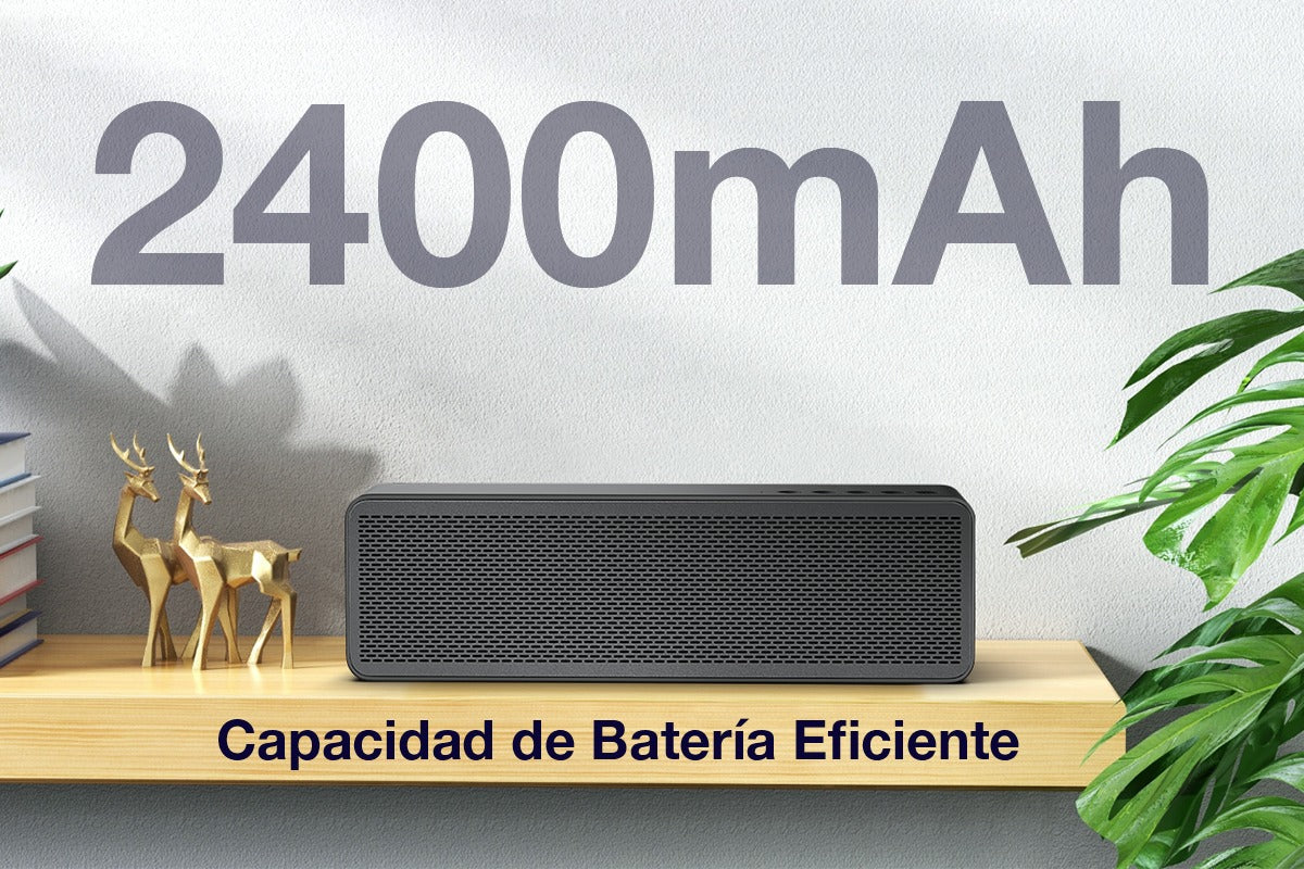 Bocina Inalámbrica BOC250